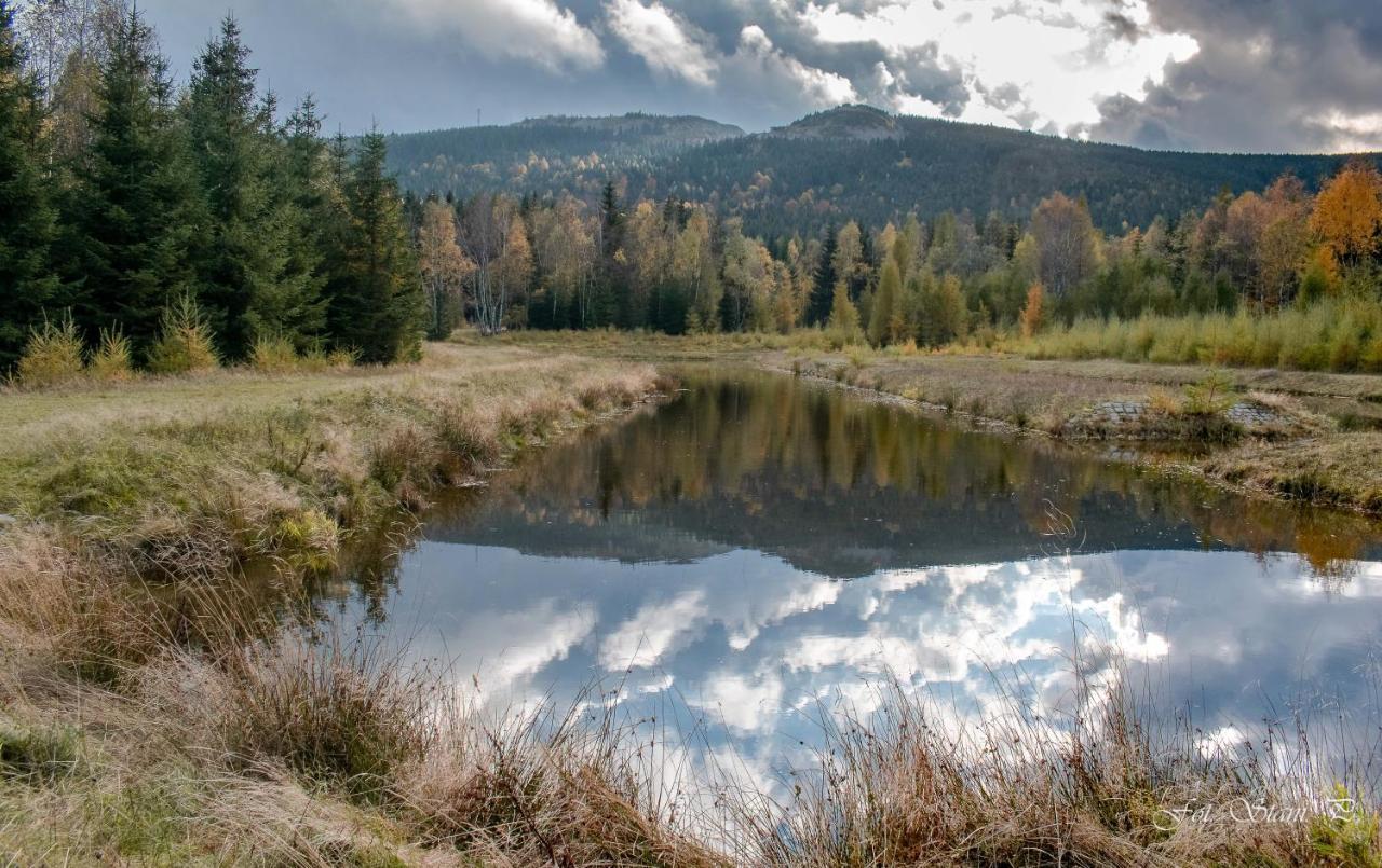 Szewska Pasja Agroturystyka Wiejska Leśna 外观 照片