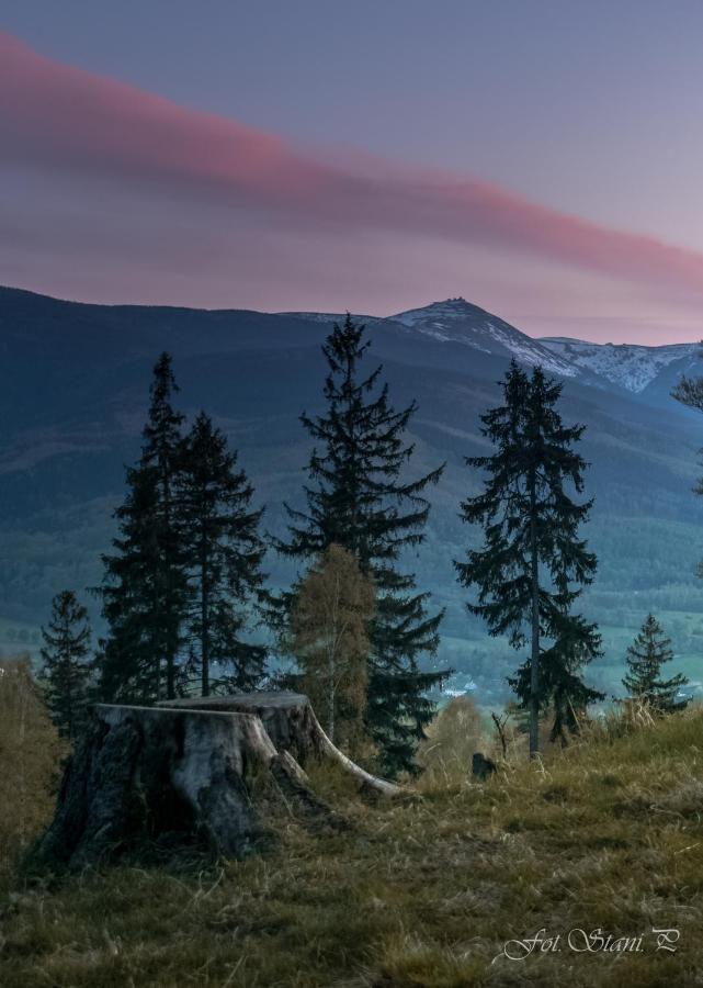 Szewska Pasja Agroturystyka Wiejska Leśna 外观 照片