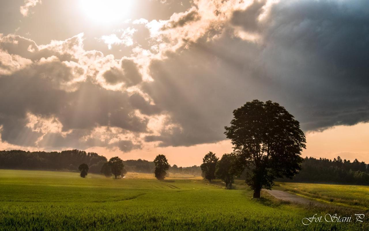 Szewska Pasja Agroturystyka Wiejska Leśna 外观 照片