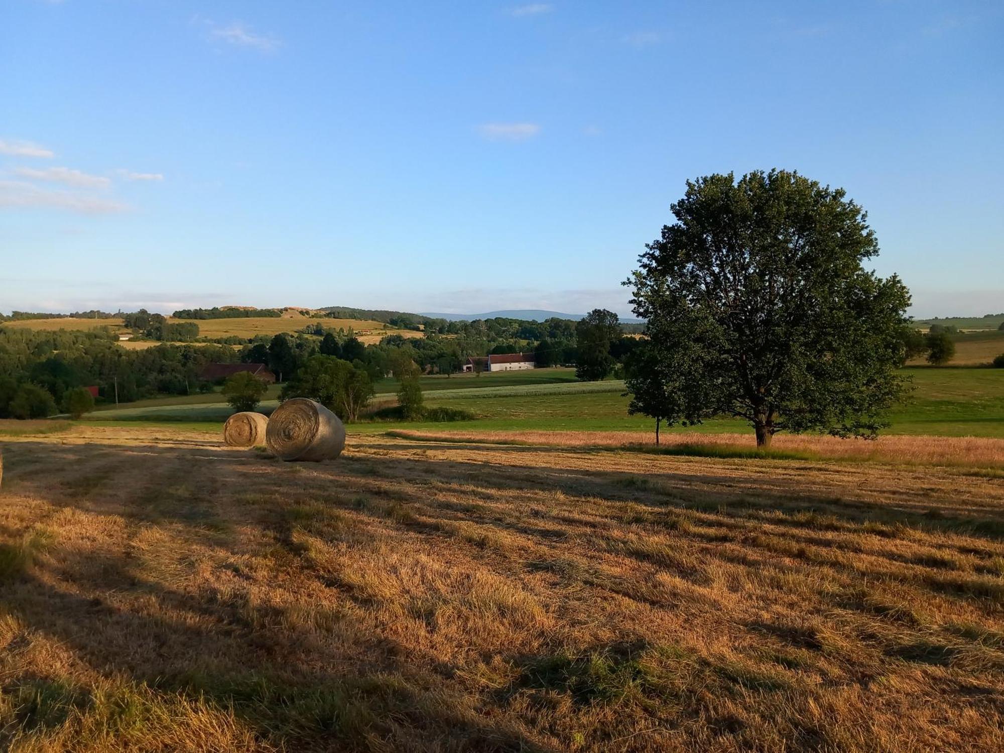 Szewska Pasja Agroturystyka Wiejska Leśna 外观 照片