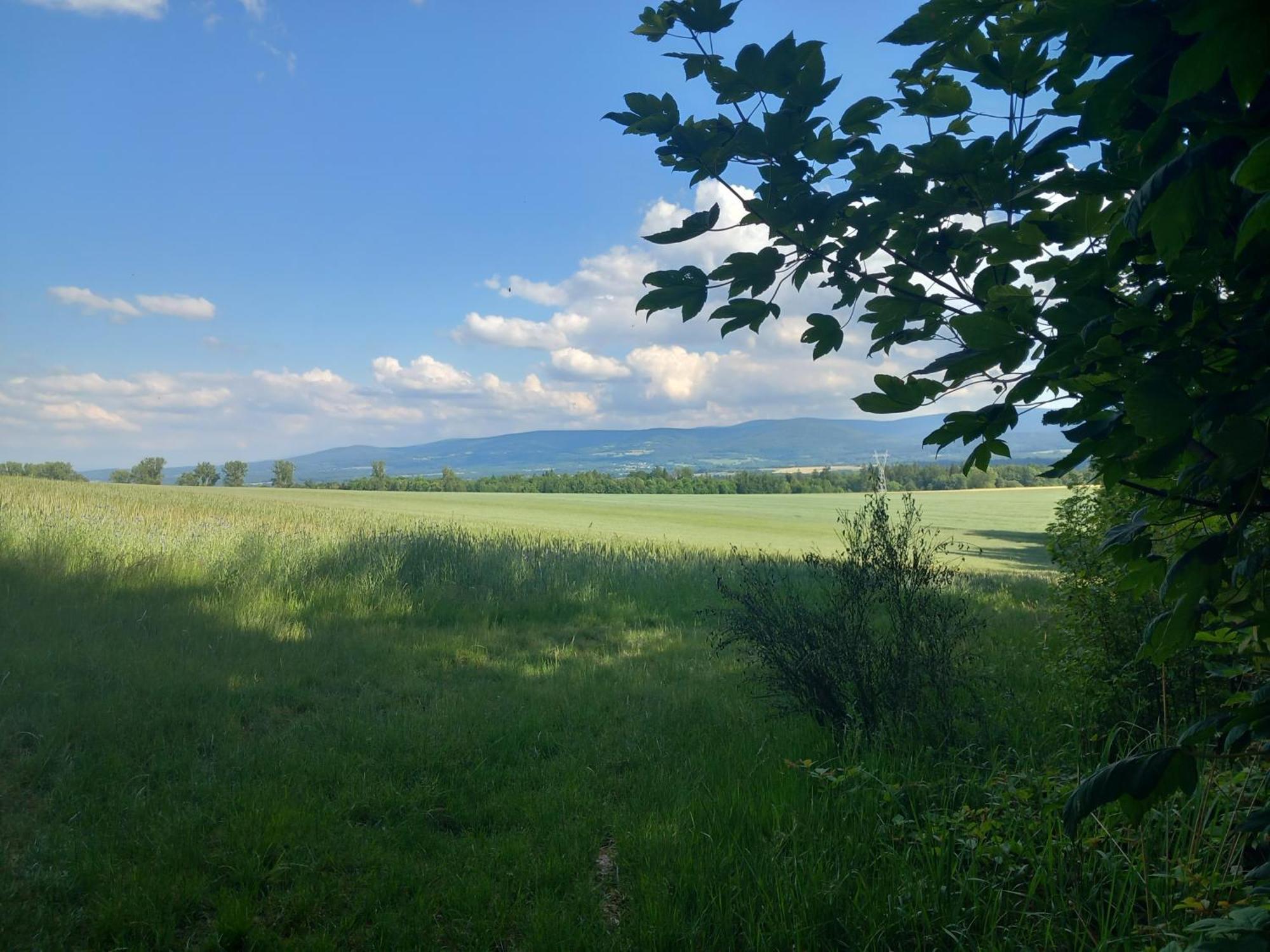 Szewska Pasja Agroturystyka Wiejska Leśna 外观 照片